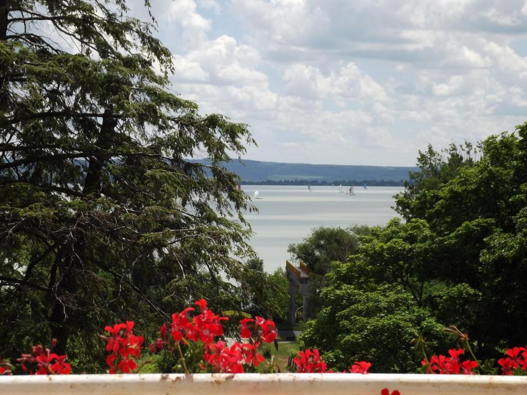 Sir David Balaton Castle Apartmanok Balatonszepezd Exterior foto